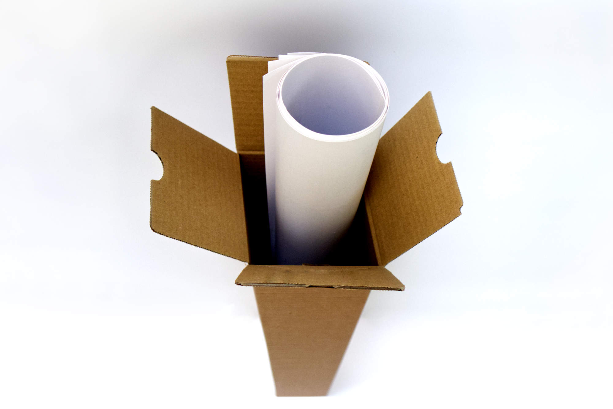 In einem Raum hängt ein mehrere Meter langer Business-Plot an der Wand, vor dem eine Moderatorin zu sehen ist, die ihn erklärt. Im Vordergrund sitzen die Meeting-Teilnehmer am Tisch.